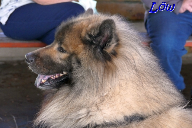 20.4.2025 - Inhalation hat gewirkt